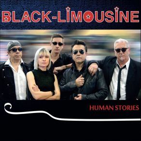 Download track Useless Things Black Limousine