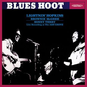 Download track Blues For The Lawlands (Original Mix) Lightnin'Hopkins