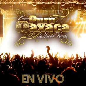 Download track Paso Del Norte - Mexico Lindo Y Querido Banda Puro Oaxaca