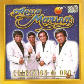 Download track Pasitos Para Bailar Agua Marina