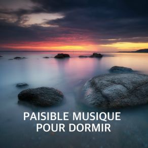 Download track Nuit Calme Relaxante Relaxation Sommeil