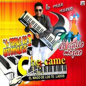 Download track El Baile Del Caballito Che-Came El Mago De Los Teclados