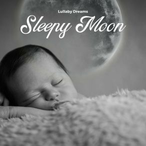 Download track Sleepy Moonlight Lullaby Dreams