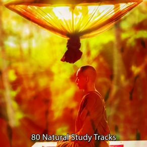 Download track Resolve Problems Relaxing Mindfulness Meditation Relaxation Maestro