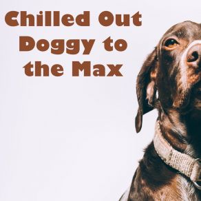 Download track Phazer Dog Relaxation