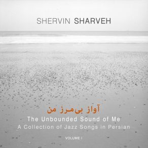 Download track Nature Boy Shervin Sharveh