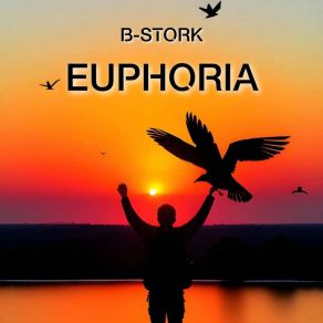 Download track Euphoria (Radio Mix) B-Stork