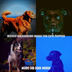 Download track Tasteful Jazz Guitar Trio - Vibe For Lonely Dogs Music For Dogs Moods