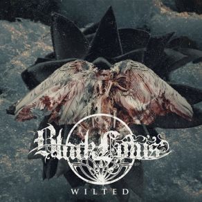 Download track Dead Bloom Black Lotus