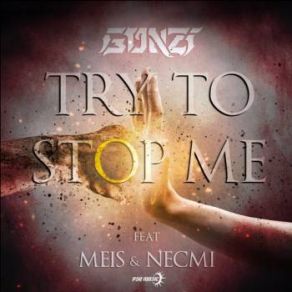 Download track Try To Stop Me Meis, Necmi, Gonzi