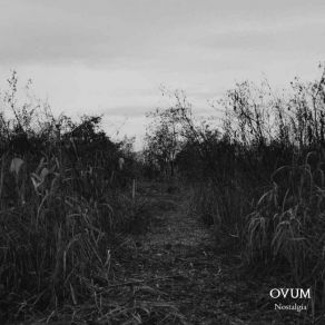 Download track Bleeding Grace Ovum