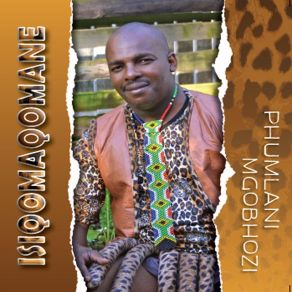 Download track Imizi Izovalwa Phumlani Mgobhozi