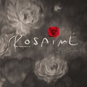 Download track Des Histoires Rosaimé