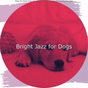 Download track Retro Moods For Walking Dogs Bright Jazz For Dogs