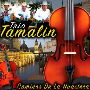 Download track En Otros Tiempos Trio Tamalin