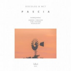 Download track Pascia (Vini Pistori Remix) McT, Discolog