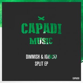 Download track Constant Dub Dimmish