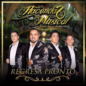 Download track Dolor De Amor Hacenda2 Musical De La Hacienda Mpio. De Angangueo Mich