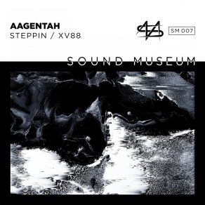 Download track Steppin Aagentah