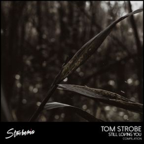 Download track Rise (Original Mix) Tom Strobe