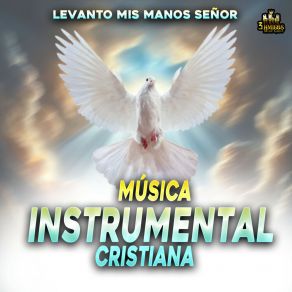 Download track Yo Me Rindo A El Música Instrumental Cristiana