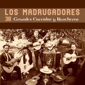 Download track Malagradecida Los Madrugadores