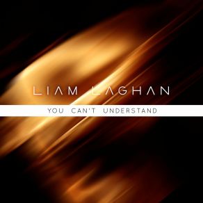 Download track You Can't Understand (Extended Mix) Liam Laghan