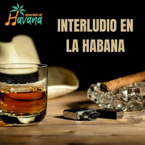 Download track Descubriendote Sounds Of Havana