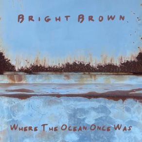 Download track Shtoom Bright Brown