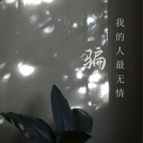 Download track 骗我的人最无情 (Dj默涵版伴奏) 燕宝儿默涵