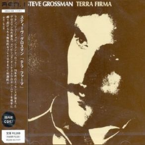 Download track Willoughby Place Steve Grossman