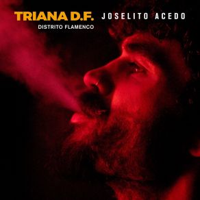 Download track Mayólica Joselito Acedo