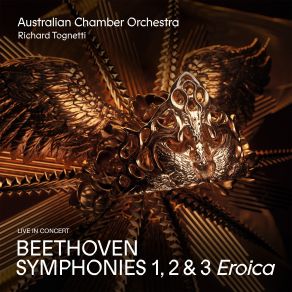 Download track Symphony No. 1 In C Major, Op. 21: II. Andante Cantabile Con Moto Richard TognettiAustralian Chamber Orchestra