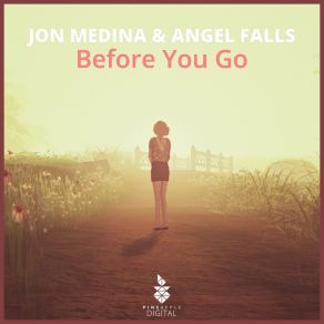 Download track Before You Go (Instrumental Mix) Jon Medina, Angel Falls