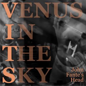 Download track John Fante's Head In Venus