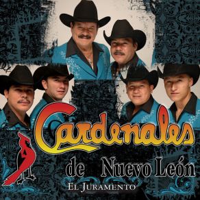 Download track No Te Enamores Los Cardenales De Nuevo Leon