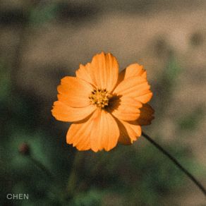 Download track Before The Petals Fall (Instrumental) Chen