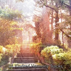 Download track Lost In The Forest Nature Sounds Artists