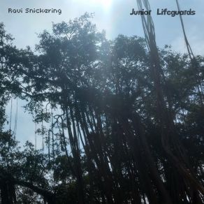 Download track Handful Of Light Ravi Snickering