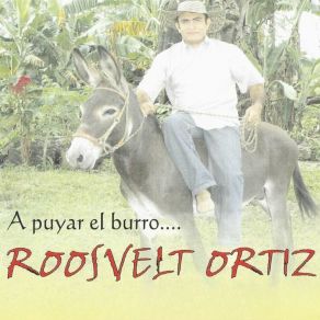 Download track Bailando Al Son Roosvelt Ortiz