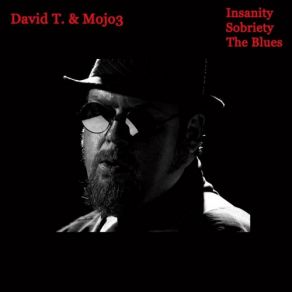 Download track Mary Ann's Gettin' Her Mojo On David T, MOJO3