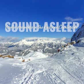 Download track Winter Ambience In The Austrian Countryside, Pt. 6 Elijah Wagner