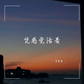 Download track 如果无法共鸣 那就选择独行 夏雯萱