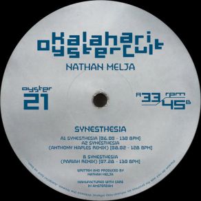 Download track Synesthesia (Pariah Remix) Nathan MeljaPariah