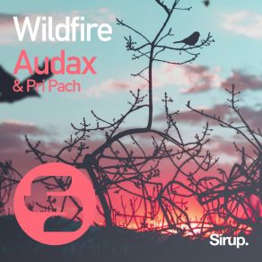 Download track Wildfire Pri Pach