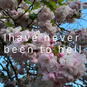 Download track I Have Never Been To Hell III Loch Mess