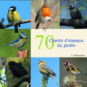 Download track Fauvette Des Jardins Fernand Deroussen