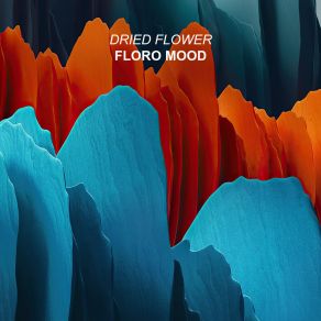 Download track Floro Dried Flower