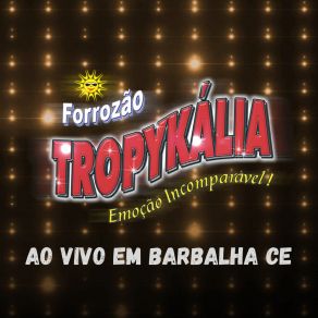 Download track Você Fugiu De Mim (Ao Vivo) Forrozão Tropikalia