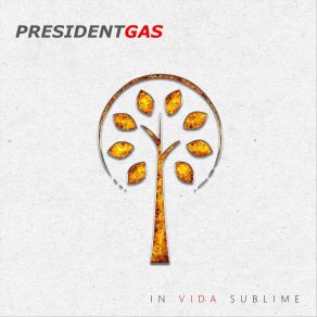 Download track In The Half Light President Gas